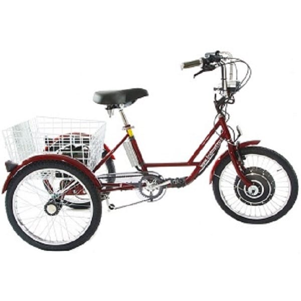 Motorized tricycle with electric motor