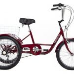 Large tricycle for adults "20