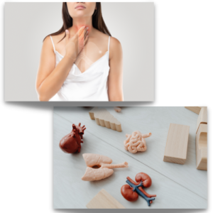 תמונה למאמר (8)